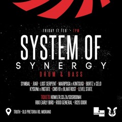 System of Snergy DNB Mix
