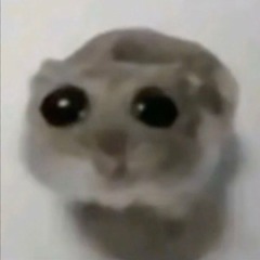 HAMSTER MASTER