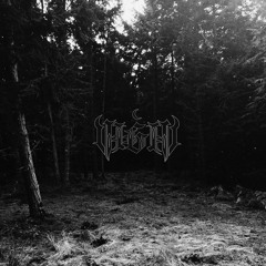 VIGIL - ILLUSIONIST (THALL)