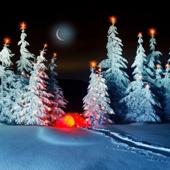 Dima: Night (Part Six), 2020