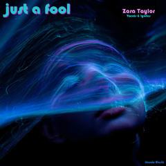 Just a Fool