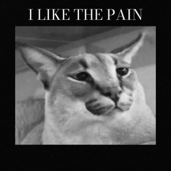 I Like The Pain