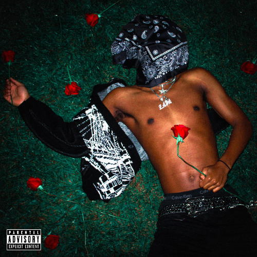 Dead Roses (Intro) [keen]