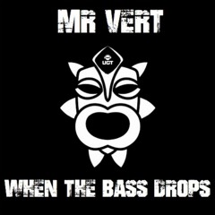 Mr Vert - When The Bass Drops