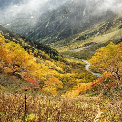 Autumnal (2024)