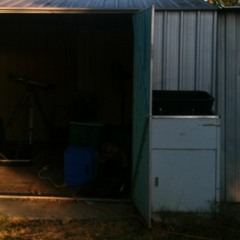 Complimentary Lamp Shades