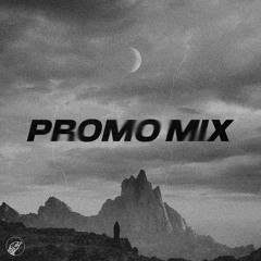 Miche - Ranger Records Promo Mix
