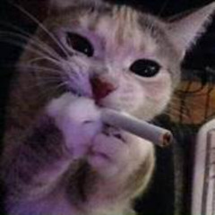 Mình Là Người Yêu Cũ