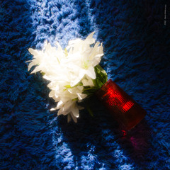 0.the idea behind the maxi tape.