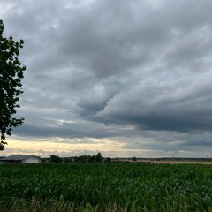 Evening Clouds