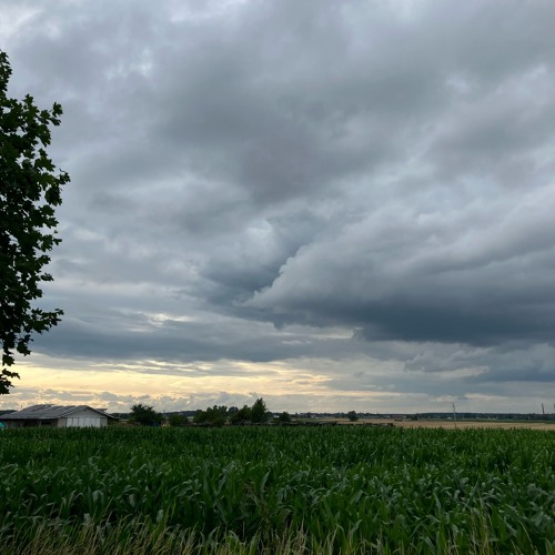 Evening Clouds