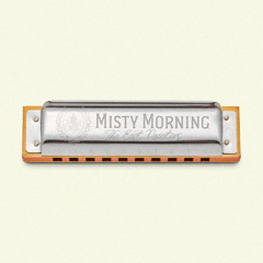Misty Morning