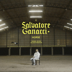 Salvatore Ganacci - Horse (Daniel Seven Silliest Mashup)