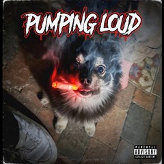 Pumping Loud