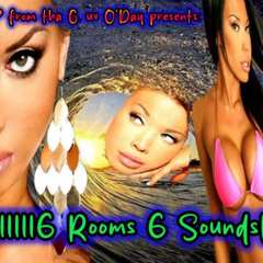6 ROOMS 6 SOUNDS A journey thru the organic Genre's of EDM