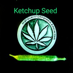 MC JE aka Xerious Gouge - Ketchup Seed