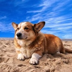 Bennya