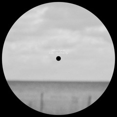 FEATHER [CLASSY FLIP]