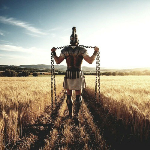 Designed To Break! "Emerald Edit"