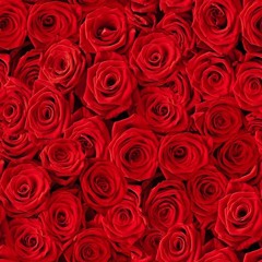 Red Roses