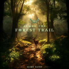Along the Forest Trail | Ambient Cinematic Music
