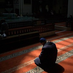 تلاوات د.أحمد العربي