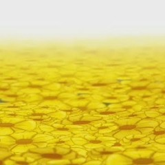 Field of Tranquility" - Interlopers OST (By Nevan Dove)