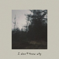 I don't know why ft. Nineteen95