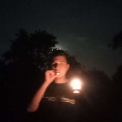 the trees are burning (slowed)