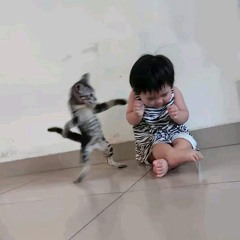 Cảnh cảnh cảnh