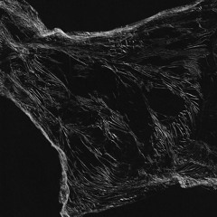 Bentley Coupe Riding