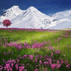 Spring 2025