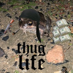 This frog is a eloquently spoken fellow