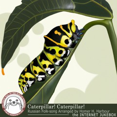 Caterpillar! Caterpillar!