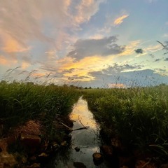 fj - (Confused) Shordie e & fj prod. z3nnyq, wvan_d6