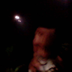 i cant kill myself im seeing dinosaurs soon, real dinosaurs