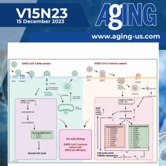 Unique Pathogenic Mechanism of SARS-CoV-2 Omicron Variant: Induction of Cellular Senescence