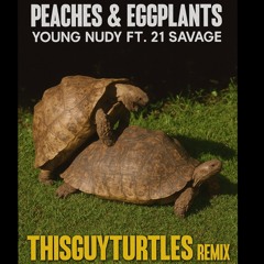 Peachs & Eggplants Young Nudy ft 21 Savage (ThisGuyTurtles Remix)