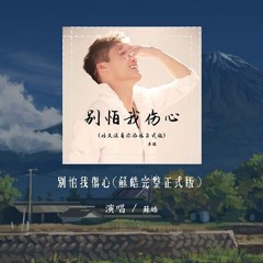 苏皓 - 别怕我伤心(苏皓完整正式版）「一颗爱你的心时时刻刻为你转不停 我的爱也曾经深深温暖你的心灵」【動態歌詞/pīn yīn gē cí】#苏皓 #别怕我伤心 #動態歌詞