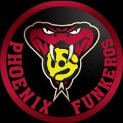 STAR GROOVE PHOENIX FUNKEROS LIVE FROM MARS