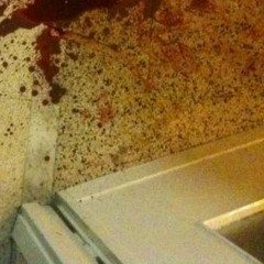 Her Blood Splattered Across The Floor