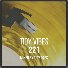Tidy Vibes 221