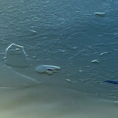 Flounder About