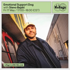 Emotional Support Dog - Stevo Bajski - 17 May 2024