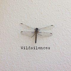 Wandering (Ambient version)
