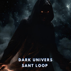 Dark univers