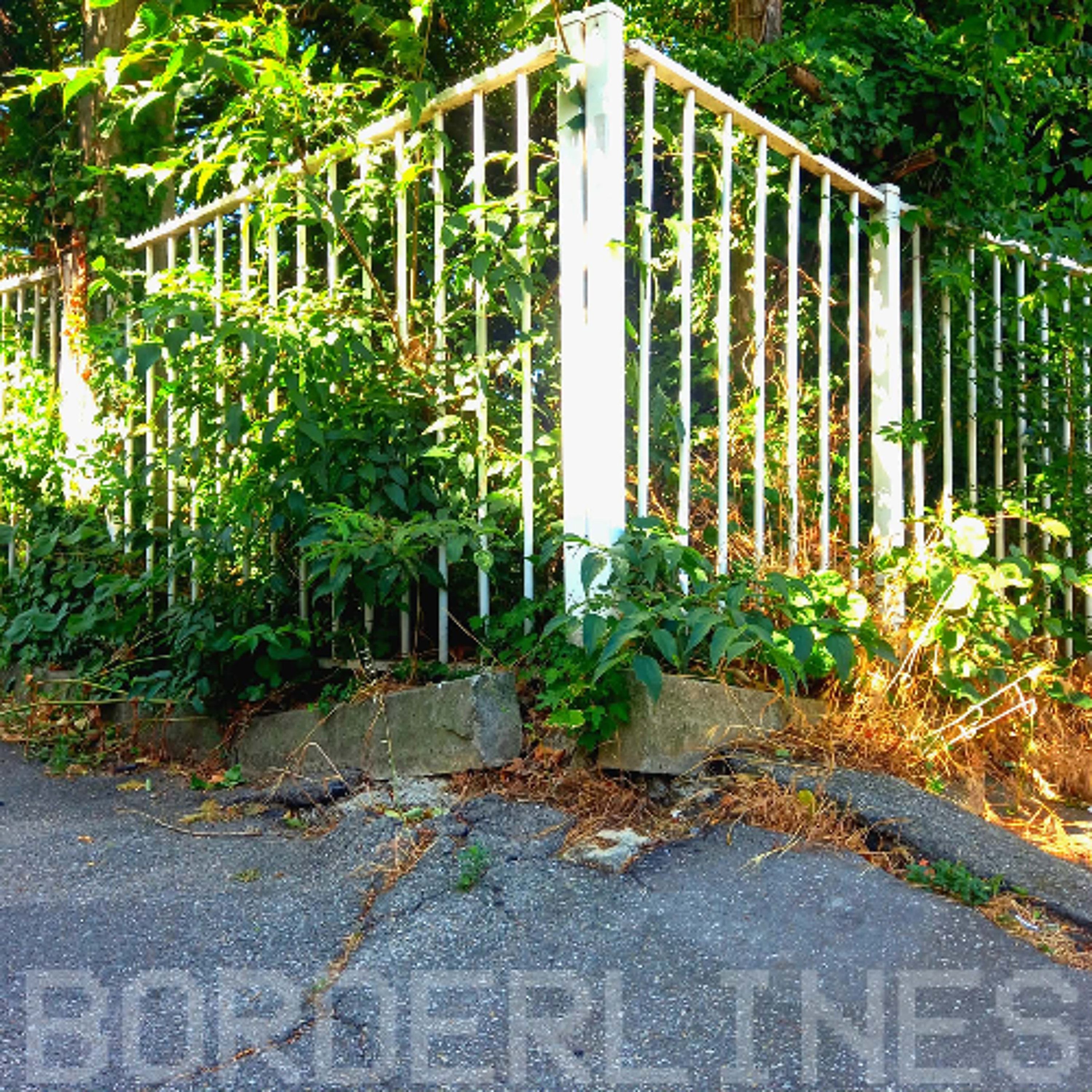 BORDERLINES - EP.73 episode artwork