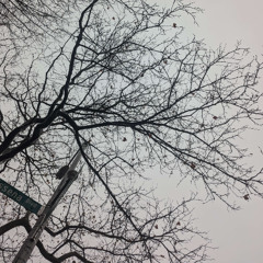 Sedona / She knew the World as Scarlet (2025)