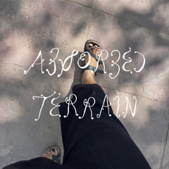 Absorbed Terrain w/ Suvani Suri (29.04.25)