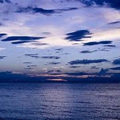 Fly With Me (Prod. SilentSyndicate)